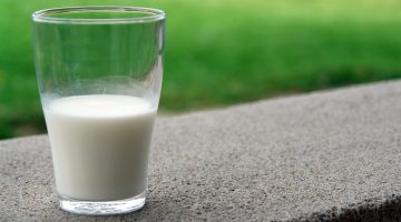 Foods_for_better_Calcium_Absorption__Credihealth