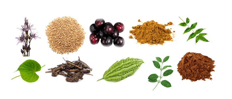 diabetes_herbs