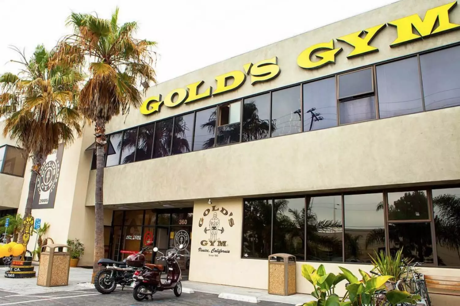 Golds-Gym