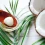 The Shelf Life of Coconut Oil: What You Need to Know